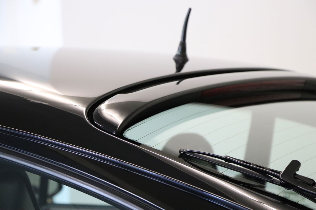 Porsche 911 Turbo WLS 1