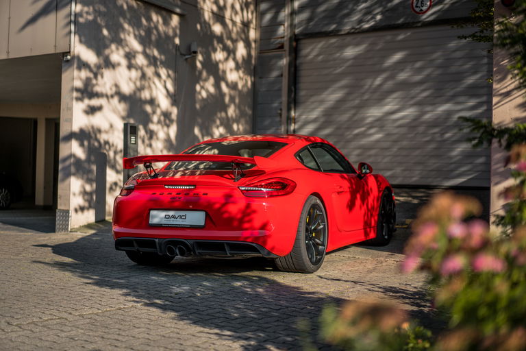 Porsche 981 Cayman GT4