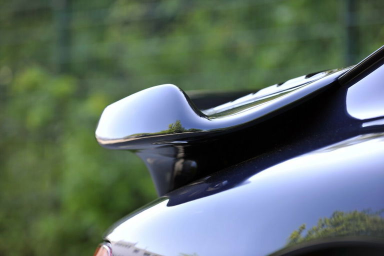 Porsche 993 Turbo WLS 2