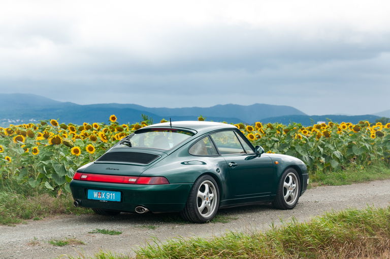 Ein Porsche 993 in Dschungelgrün