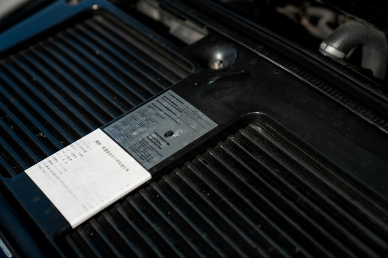 Porsche 993 Turbo WLS 2