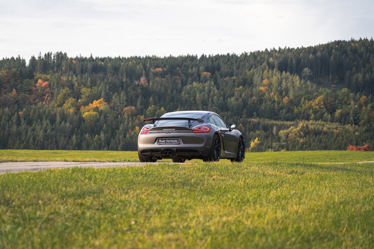 Porsche 981 Cayman GT4