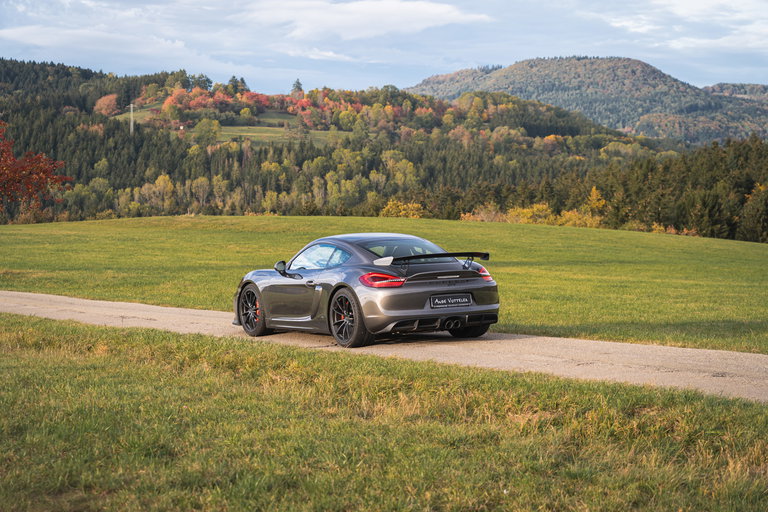 Porsche 981 Cayman GT4