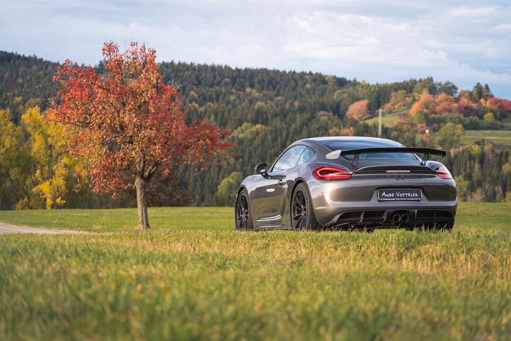 Porsche 981 Cayman GT4