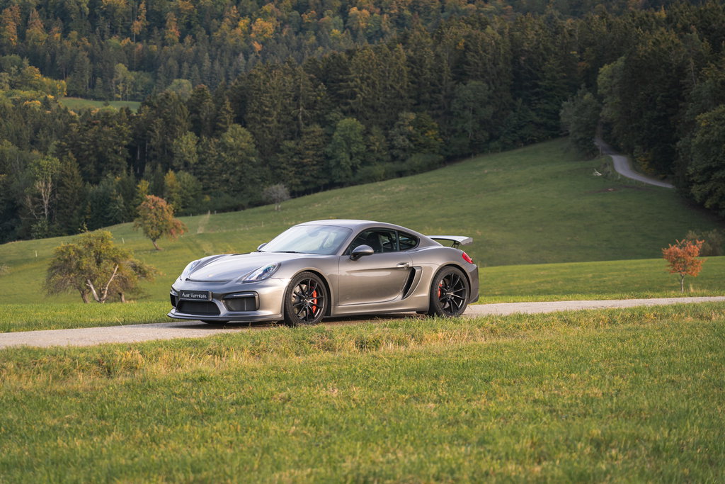 Porsche 981 Cayman GT4