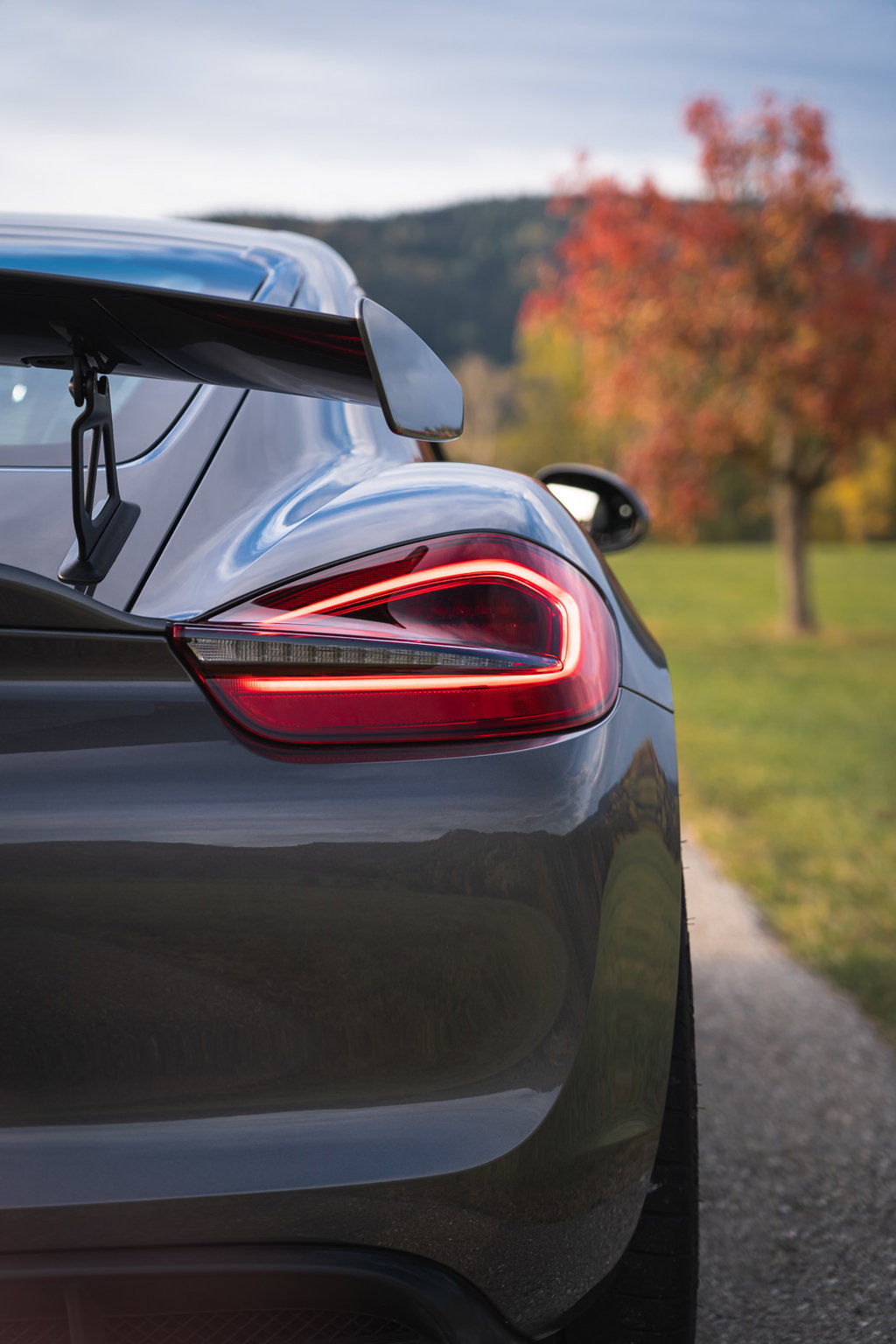 Porsche 981 Cayman GT4