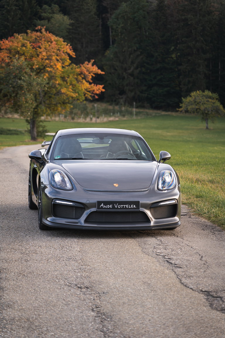 Porsche 981 Cayman GT4