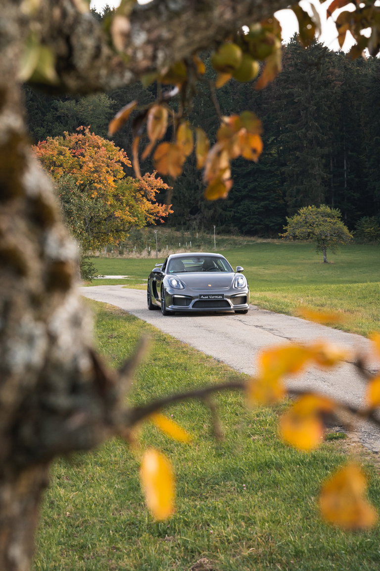 Porsche 981 Cayman GT4