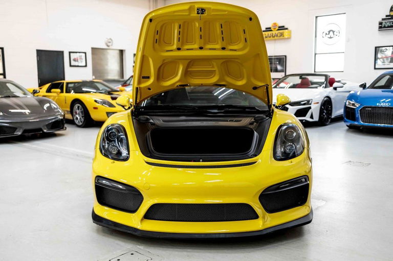 Porsche 981 Cayman GT4