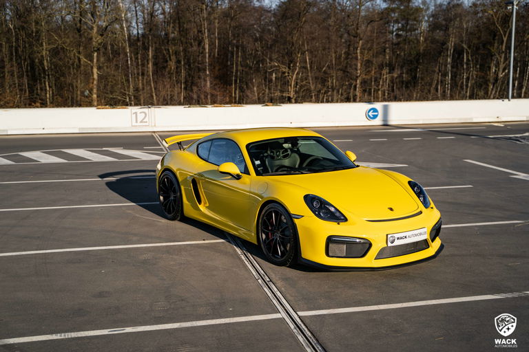 Porsche 981 Cayman GT4