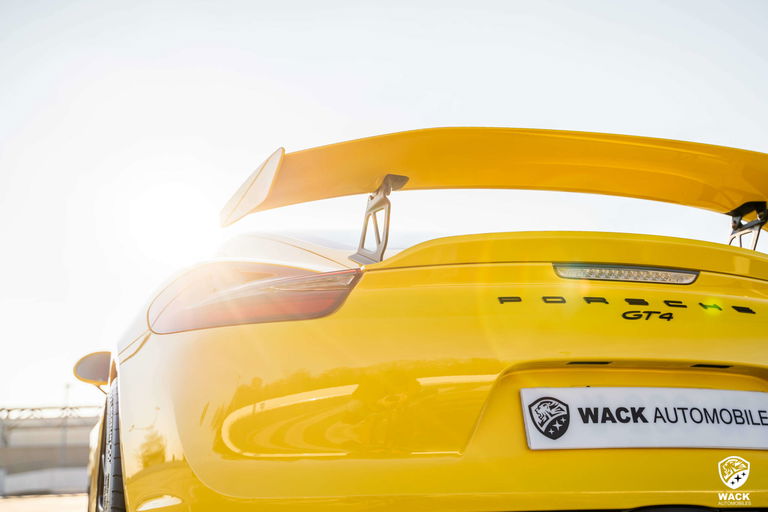 Porsche 981 Cayman GT4