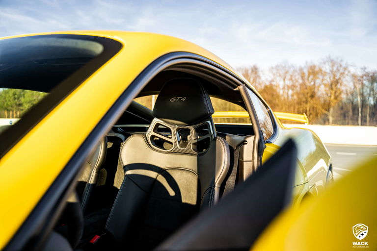 Porsche 981 Cayman GT4