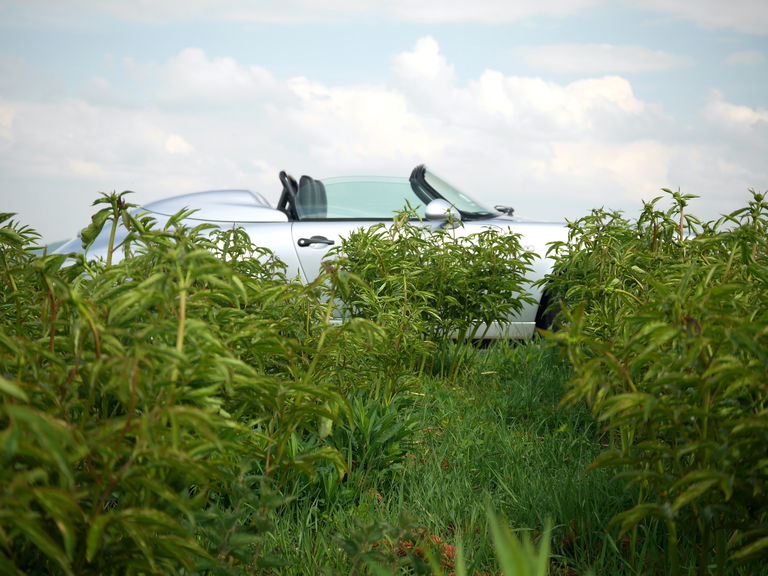 Porsche 964 Carrera 2 Speedster