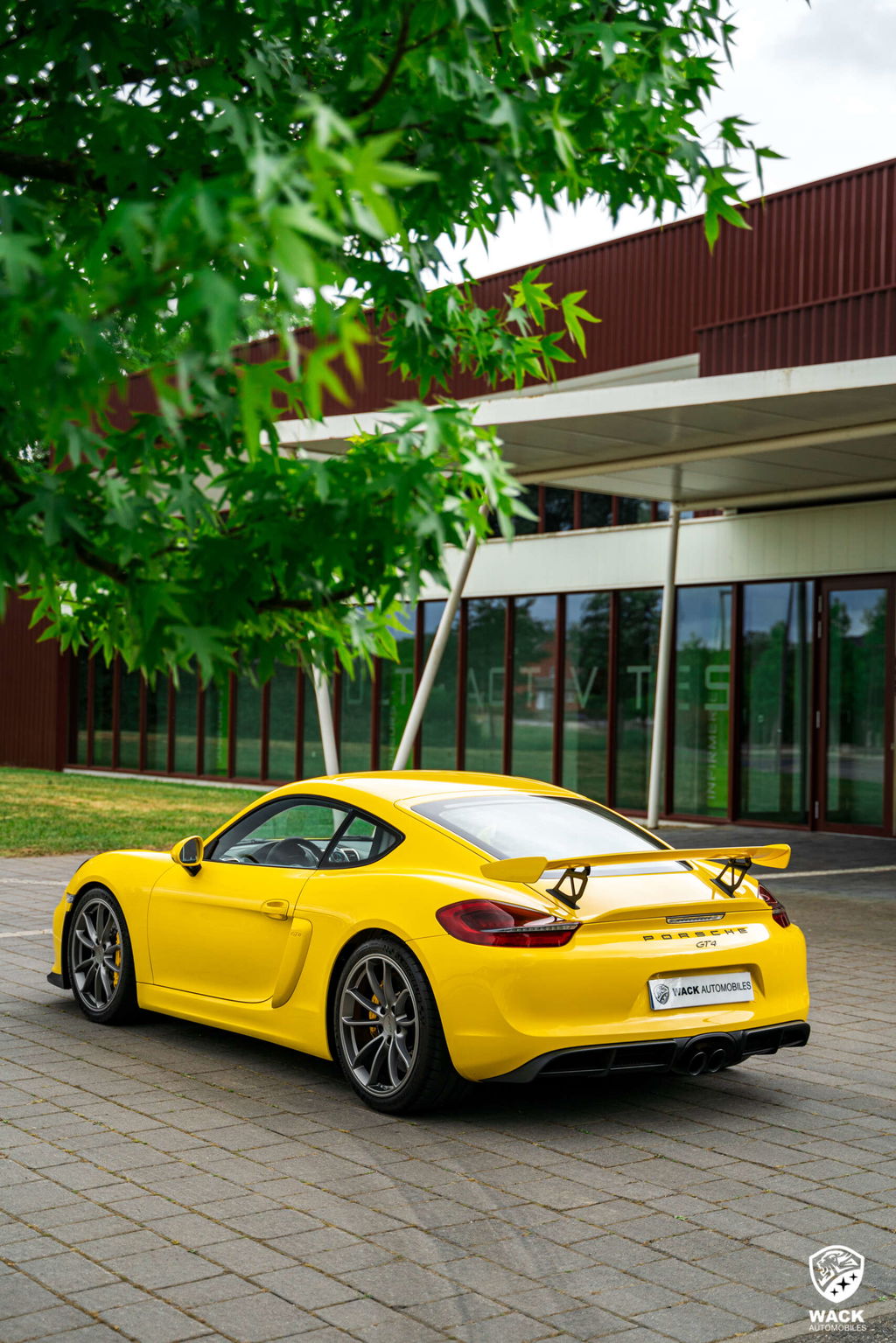 Porsche 981 Cayman GT4