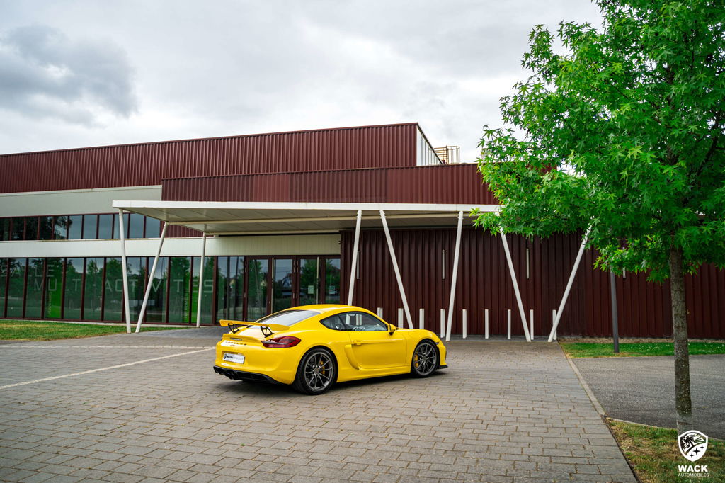 Porsche 981 Cayman GT4