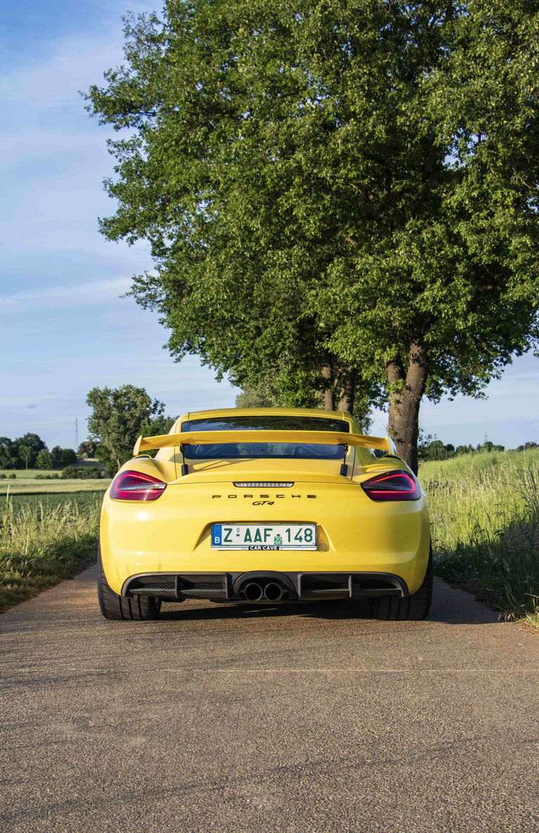 Porsche 981 Cayman GT4