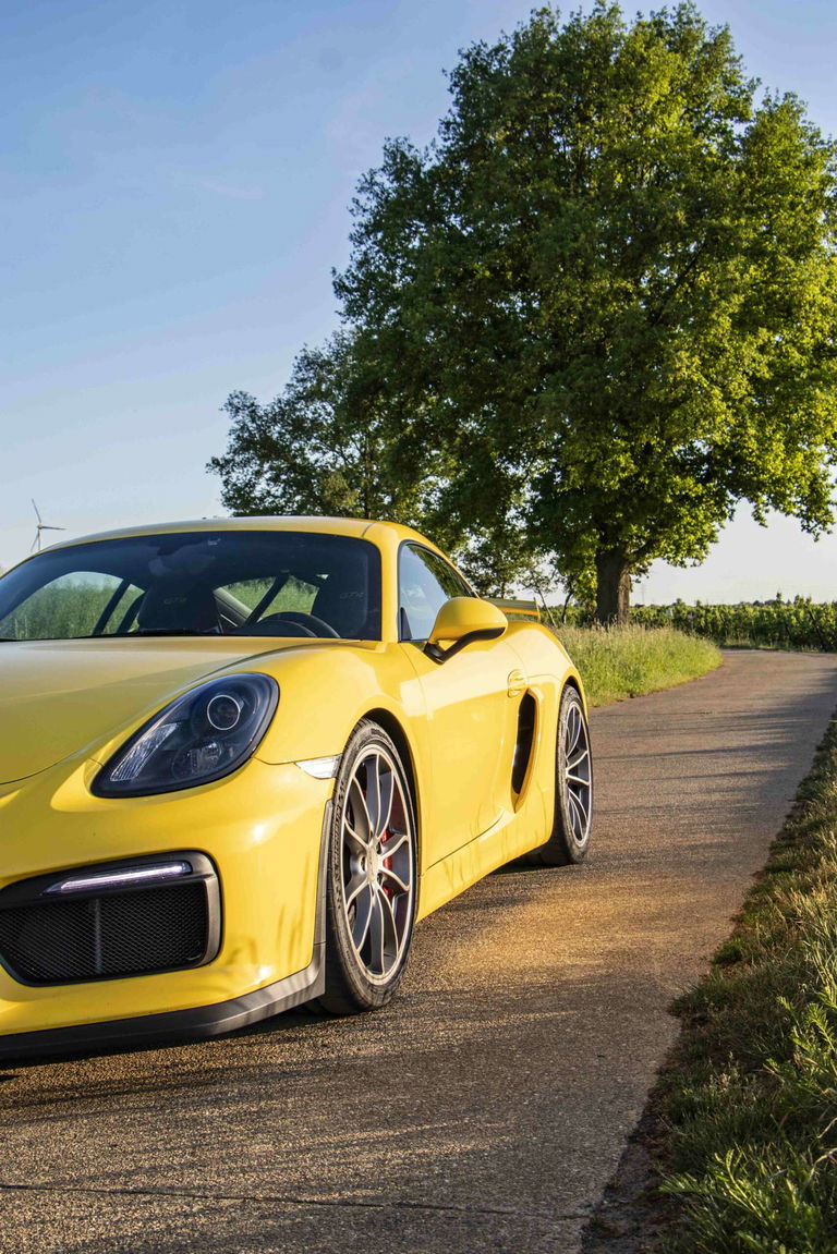 Porsche 981 Cayman GT4
