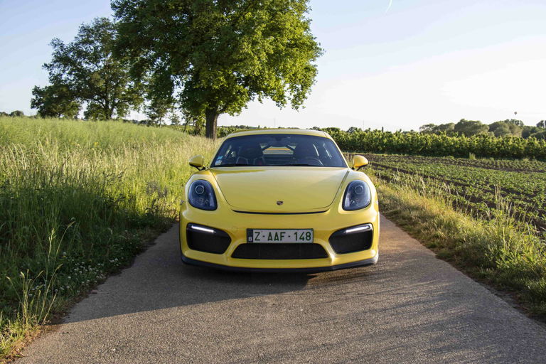 Porsche 981 Cayman GT4