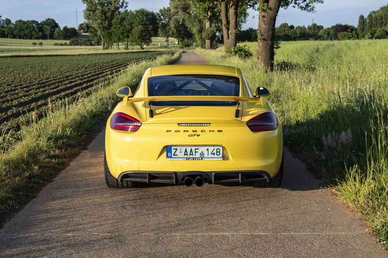 Porsche 981 Cayman GT4