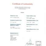 certificate-porsche-912-pdf.jpeg