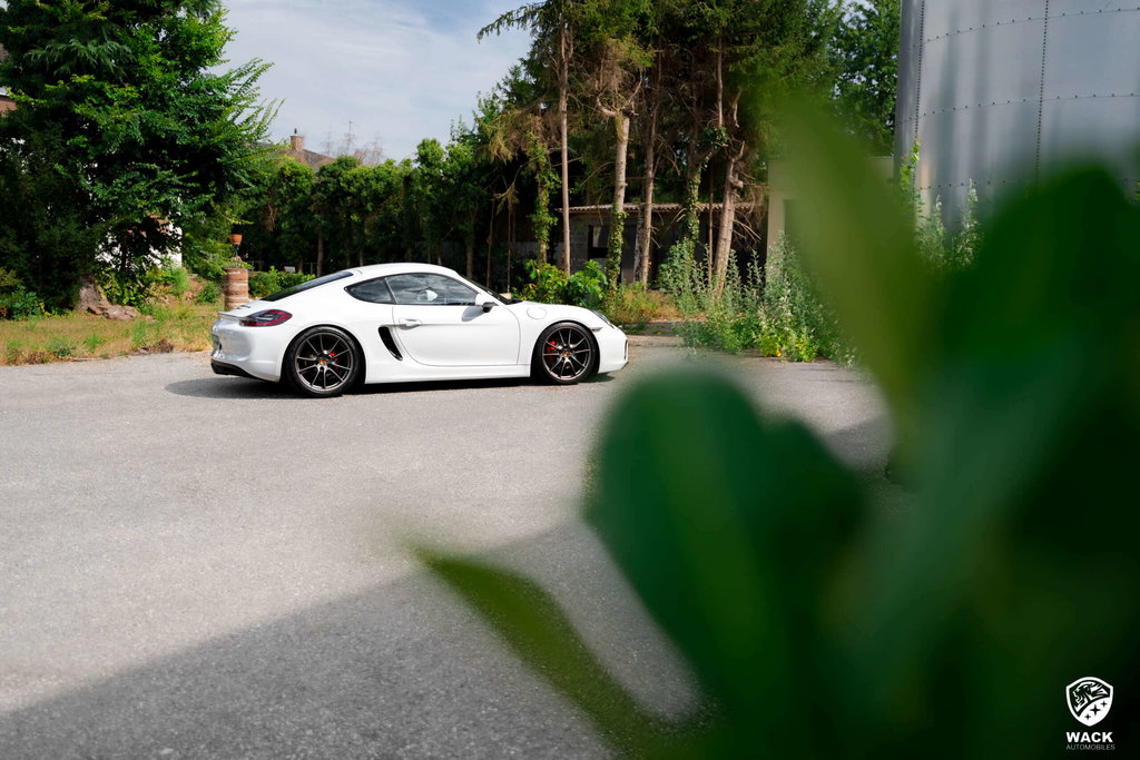 Porsche 981 Cayman S