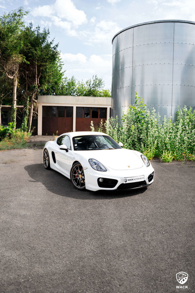 Porsche 981 Cayman S