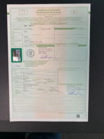 Brief-911-S.pdf