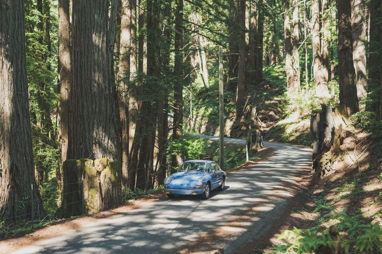 Porsche 911 (F-Modell)