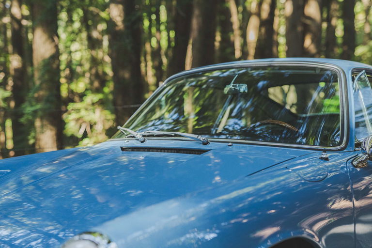 Porsche 911 (F-Modell)