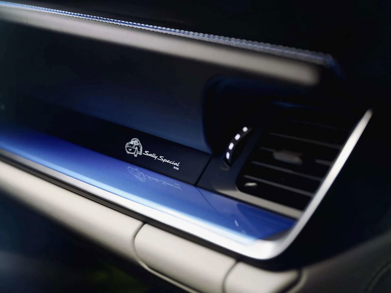 Porsche 911 “Sally Special”