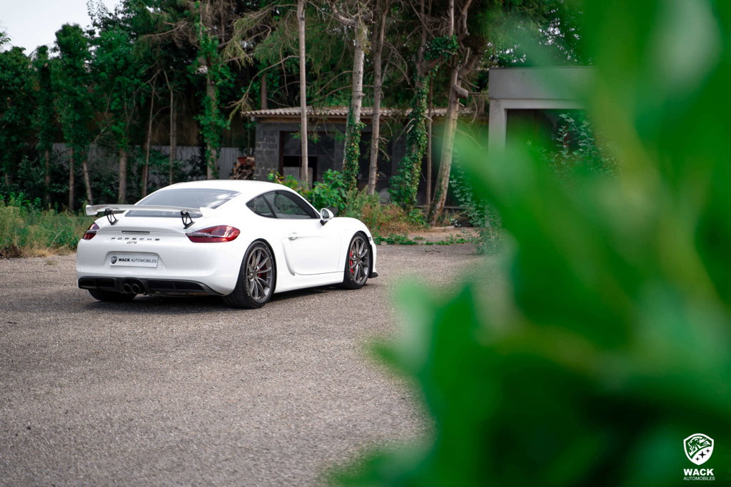 Porsche 981 Cayman GT4
