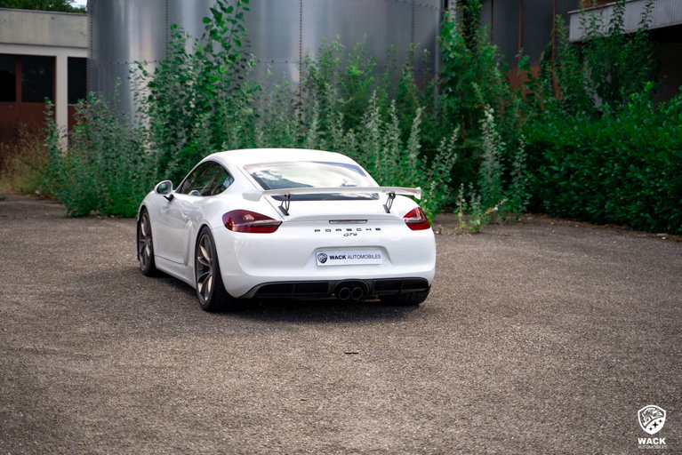 Porsche 981 Cayman GT4