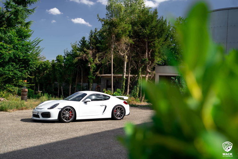 Porsche 981 Cayman GT4