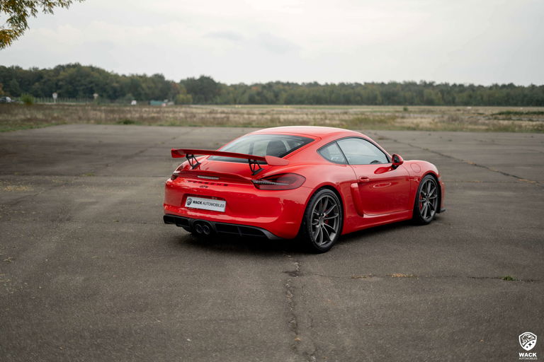 Porsche 981 Cayman GT4