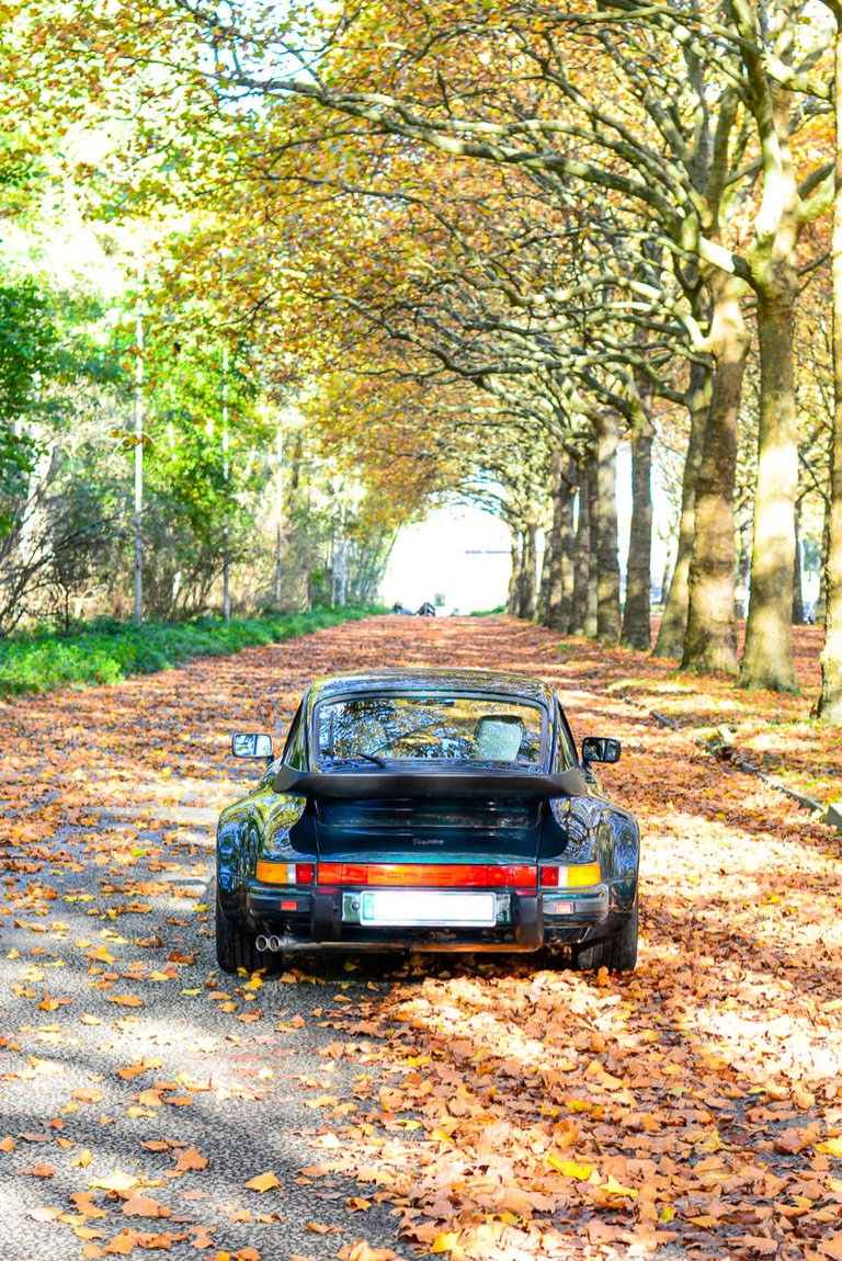 Porsche 911 Turbo 5 Gang