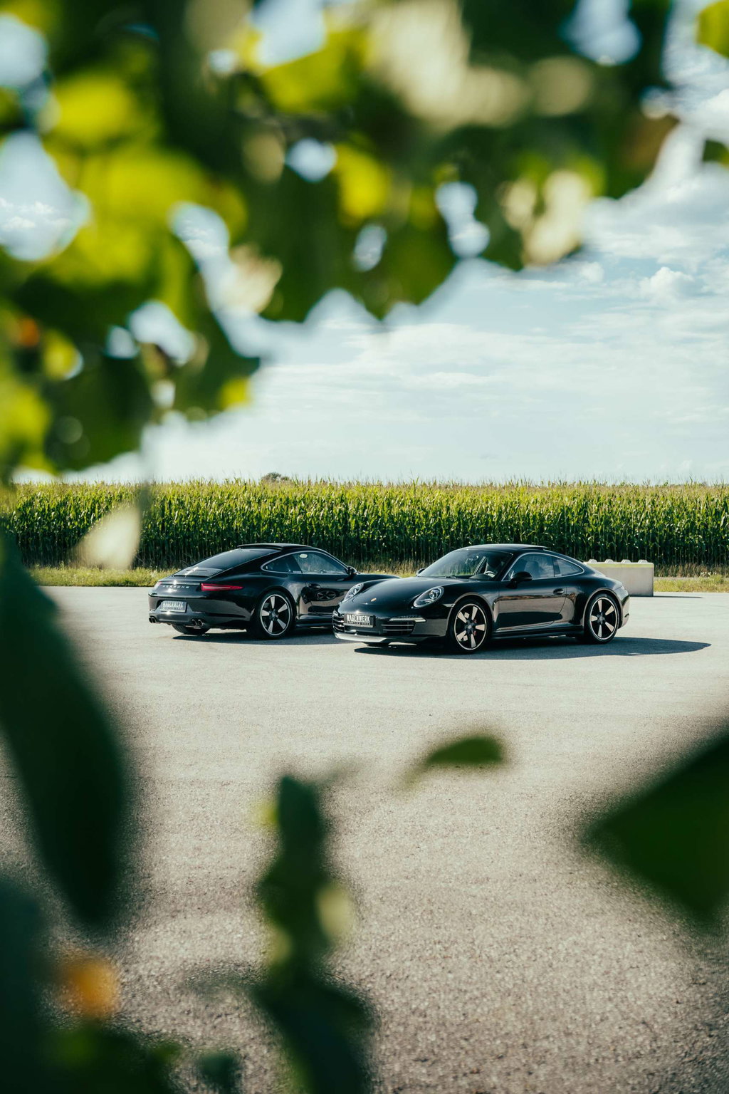 Porsche 991 Carrera S 50 Jahre Edition
