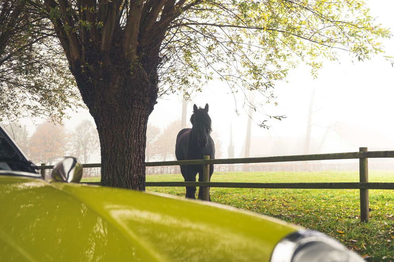 Porsche 911 Backdate