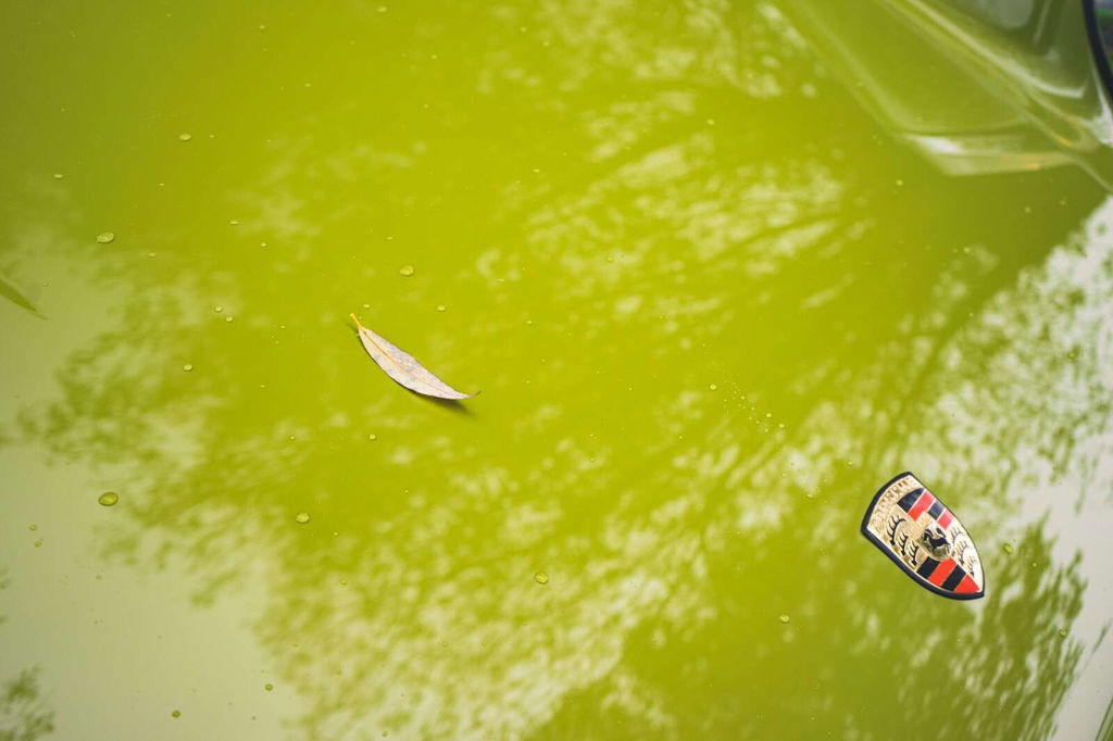 Porsche 911 Backdate