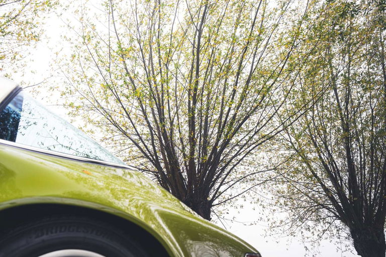 Porsche 911 Backdate