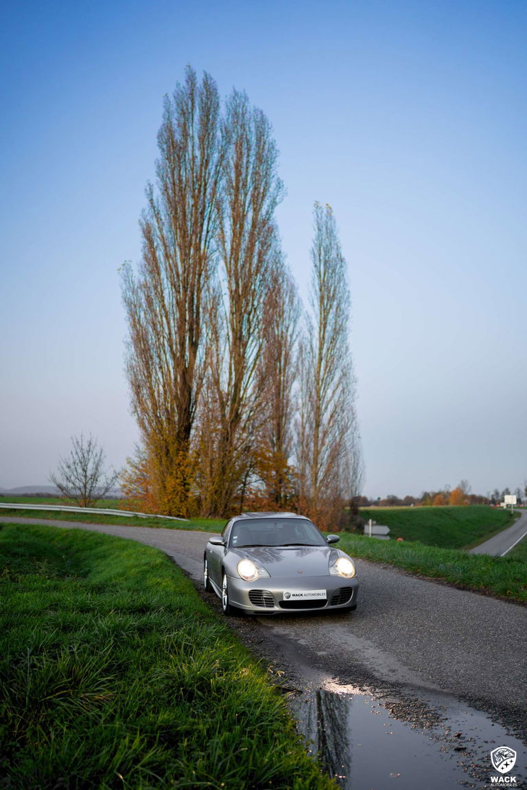 Porsche 996 Carrera “40 Jahre 911”