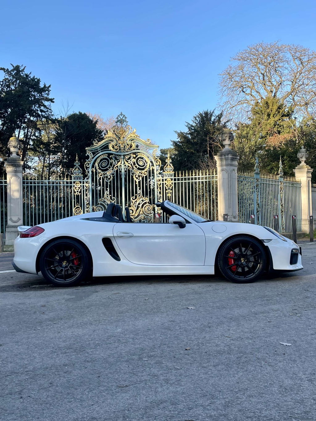 Porsche 981 Boxster Spyder