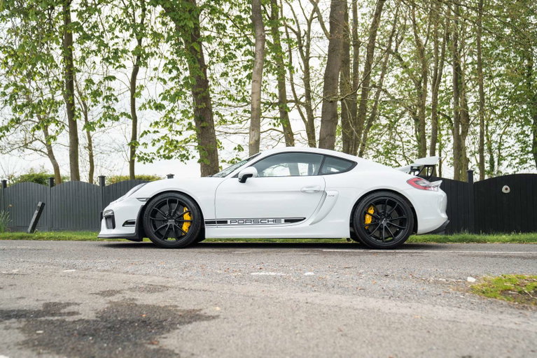 Porsche 981 Cayman GT4