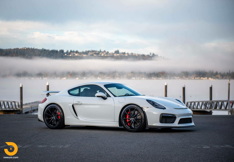 Porsche 981 Cayman GT4