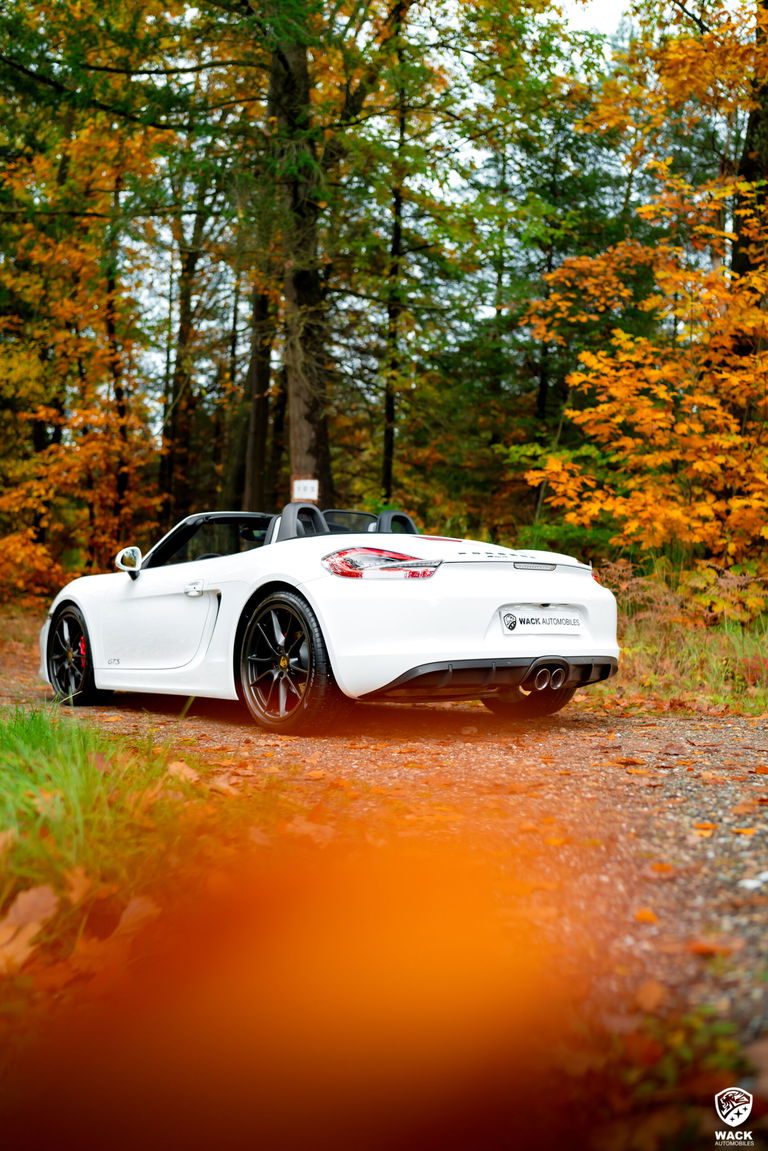 Porsche 981 Boxster GTS