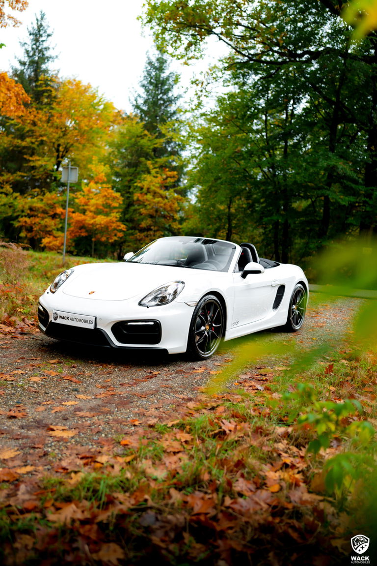 Porsche 981 Boxster GTS