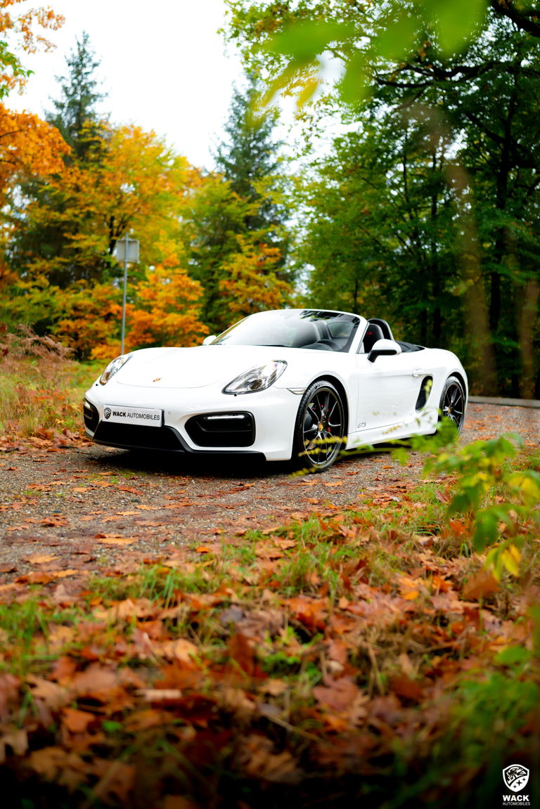Porsche 981 Boxster GTS
