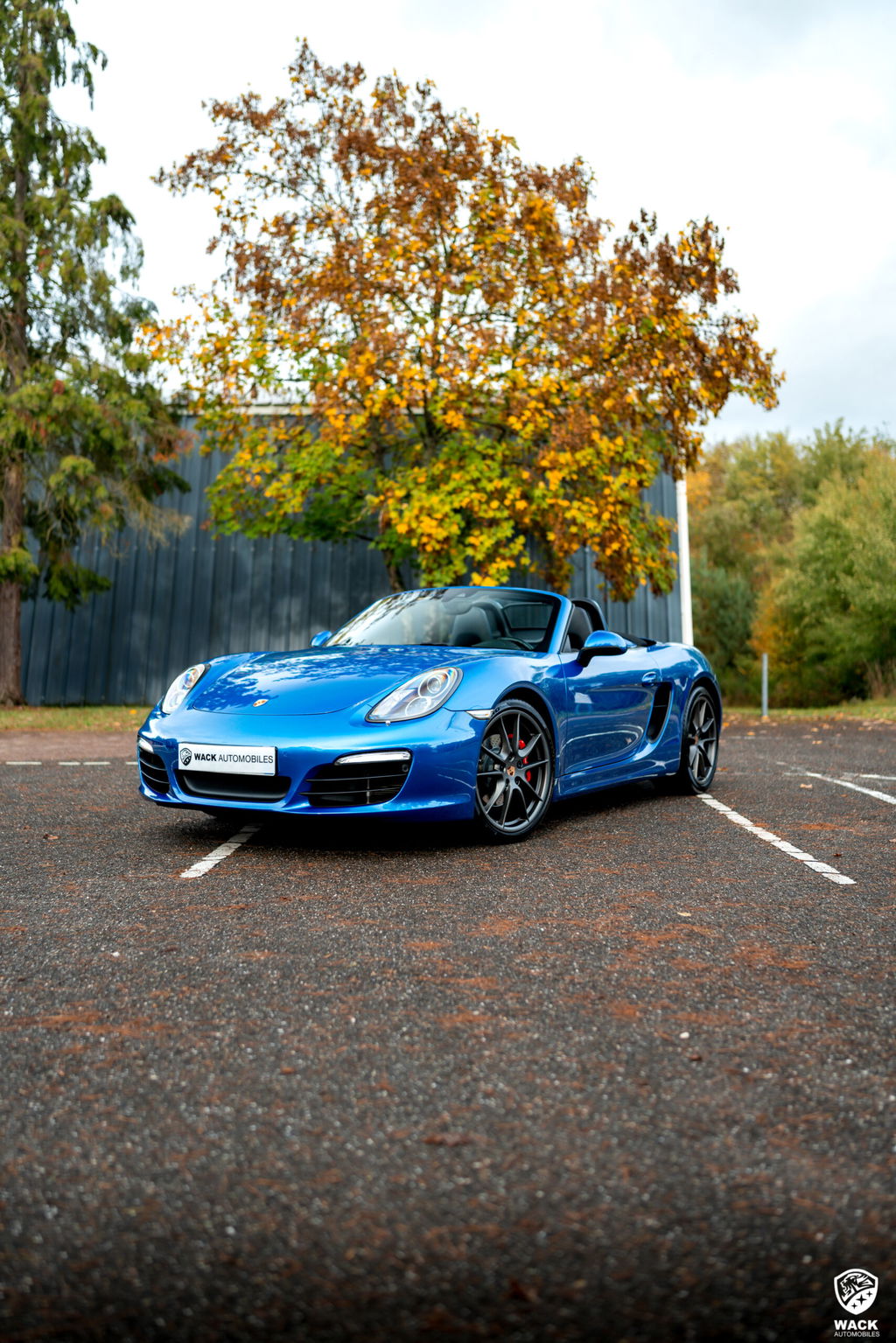 Porsche 981 Boxster S