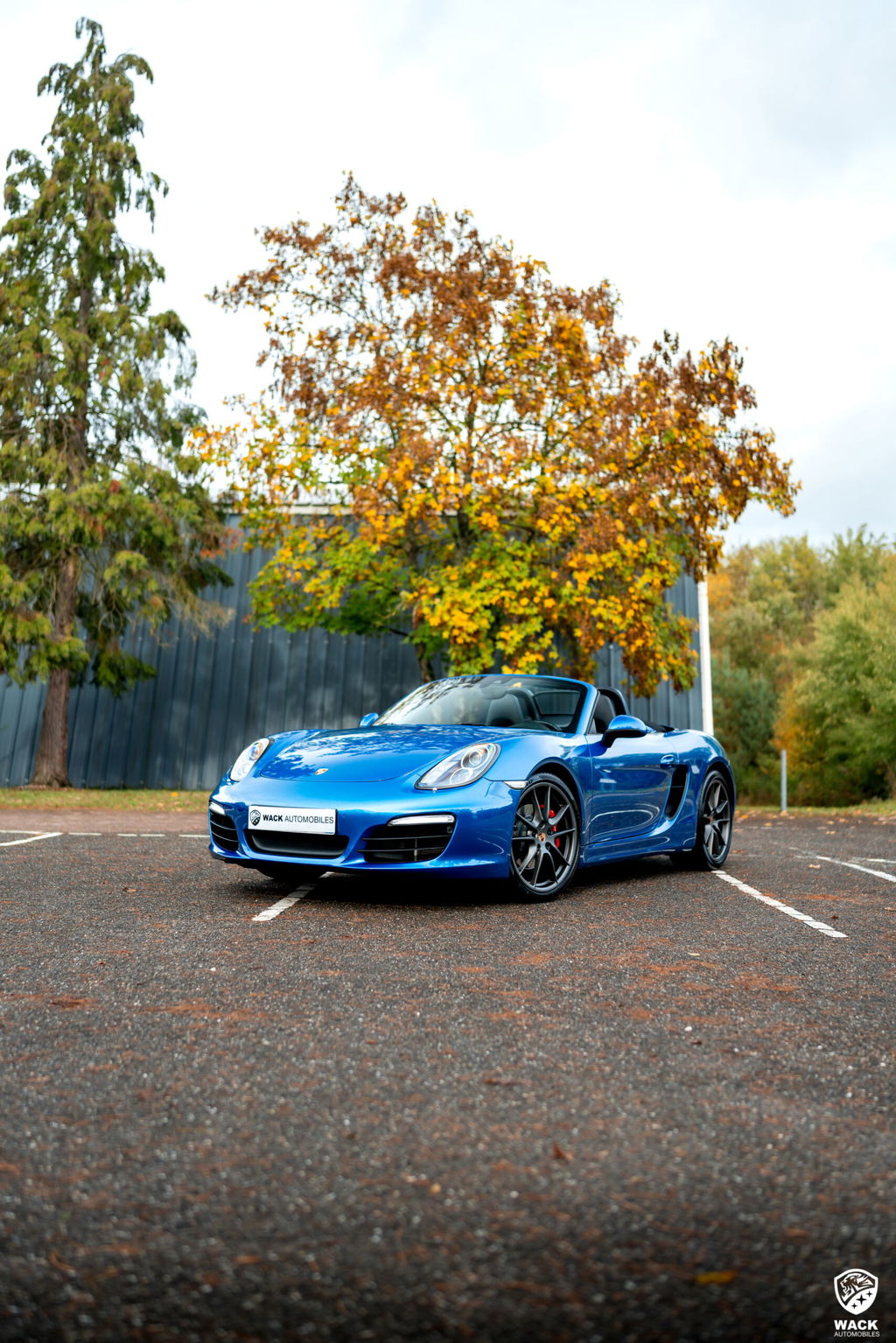 Porsche 981 Boxster S