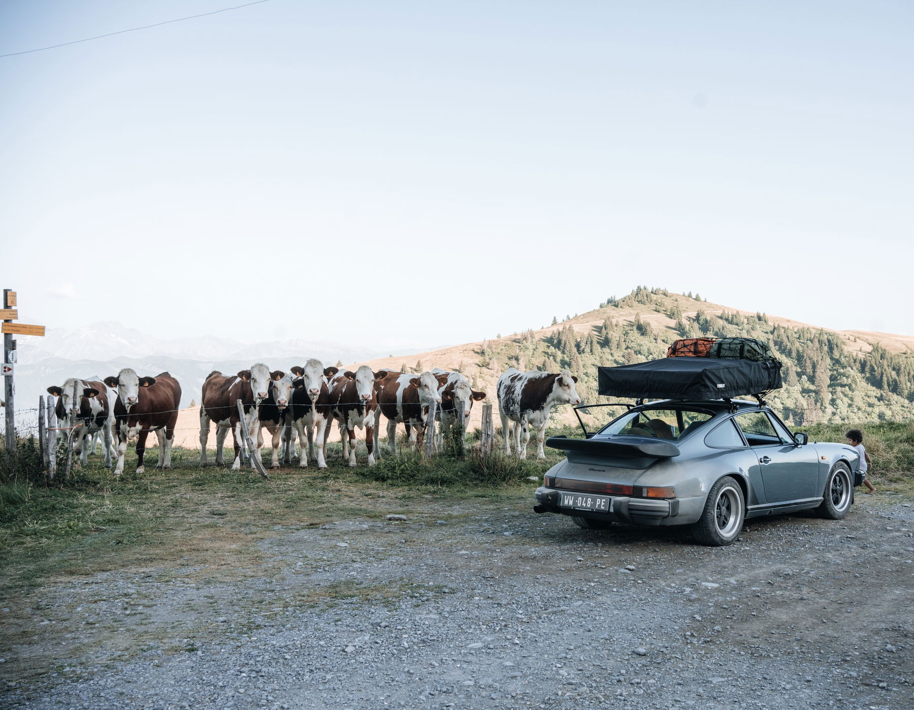 Anthony Richelot Porsche 911 SC in the Swiss Alps next to a herd of cows