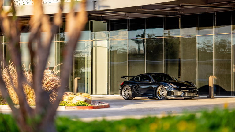 Porsche 981 Cayman GT4